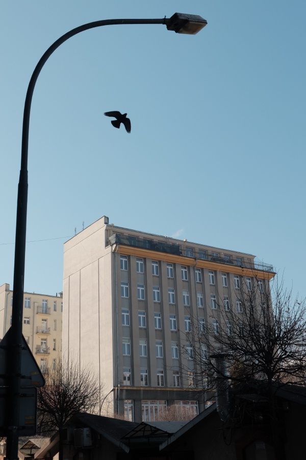DSCF8197.JPG